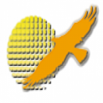 Best Phoenix Brasil