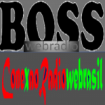 Conexão Rádio Web Brasil
