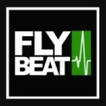 Flybeat E-Music Sounds