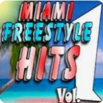 FreeStyle Miami Hits