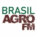 Rádio Brasil Agro 91.7 FM