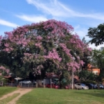 Rádio Casa Branca
