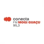 Rádio Conecta 95.3 FM