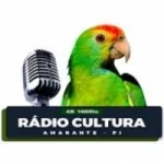 Rádio Cultura 1460 AM