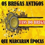Rádio Fans do Brega