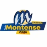 Rádio Montense Flash Minas 102.9 FM