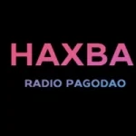 Rádio Pagodão Haxba
