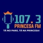 Rádio Princesa 107.3 FM