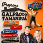 Rádio Sul RS