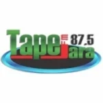 Rádio Tapejara 87.5 FM