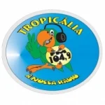 Rádio Tropicália 104.9 FM