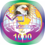 Rádio Visão Primitiva
