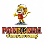 Rádio Pantanal 105.5 FM
