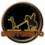 Rádio Brutonejo