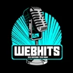 Web Hits