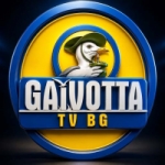 Web Rádio Gaivotta
