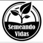 Web Rádio Semeando Vidas
